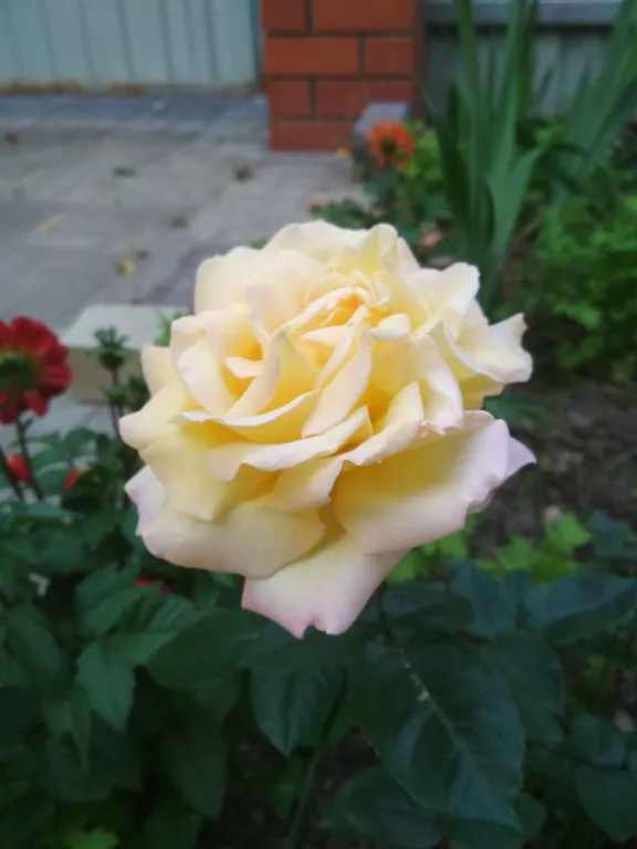 Дом с сауной Вишневый сад