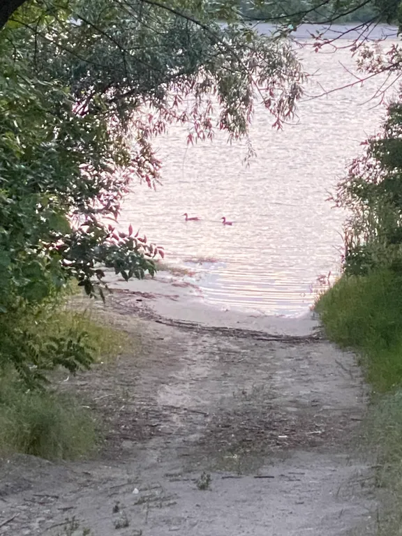 Дом с банным чаном