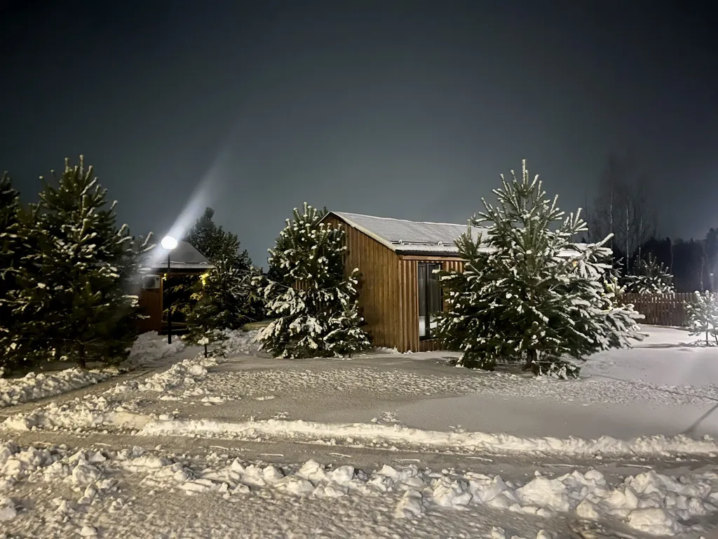 Коттедж в лесу у пруда