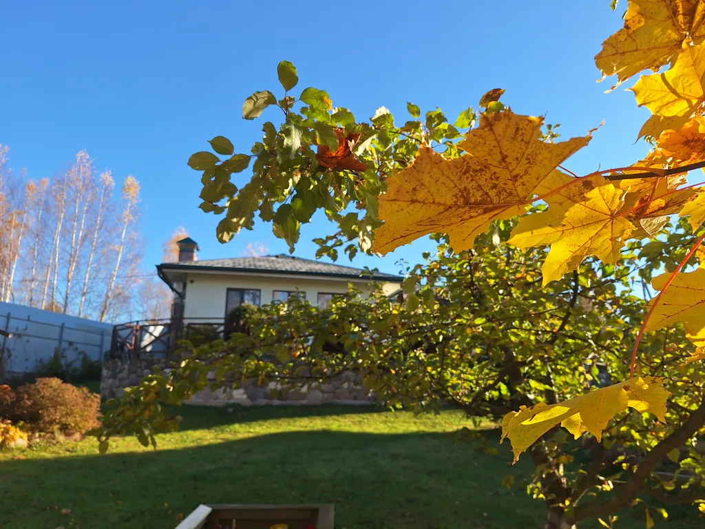 Дом на берегу Волги