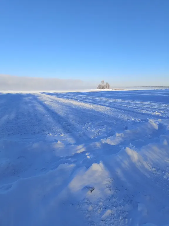 Дом в лесу на берегу озера Увильды