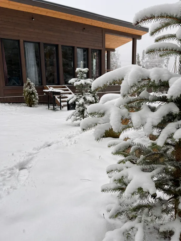 Дом-студия у Игоры