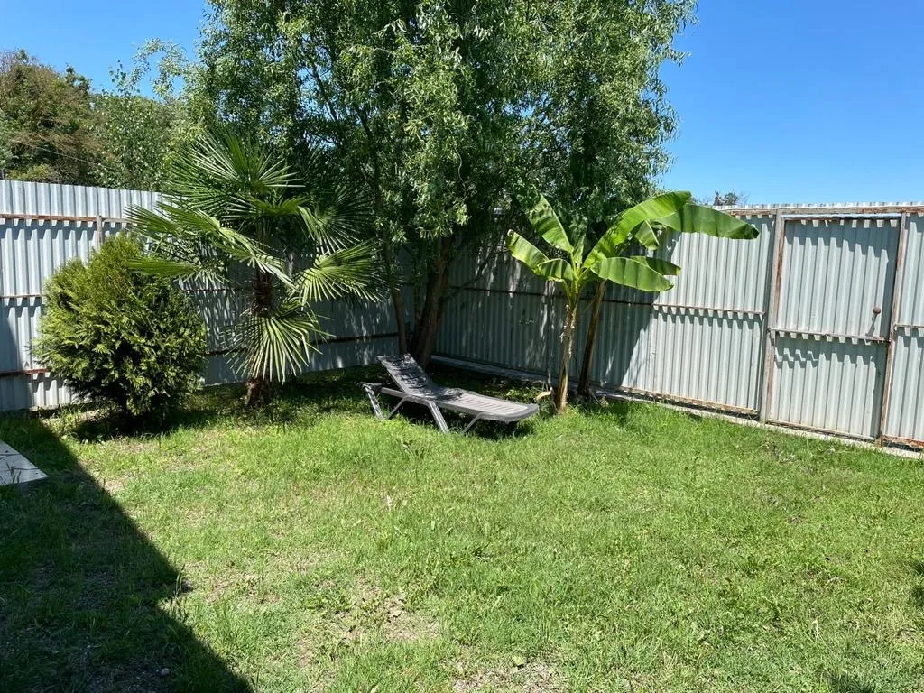 Уютный домик у моря в единственном лиановом лесу в России