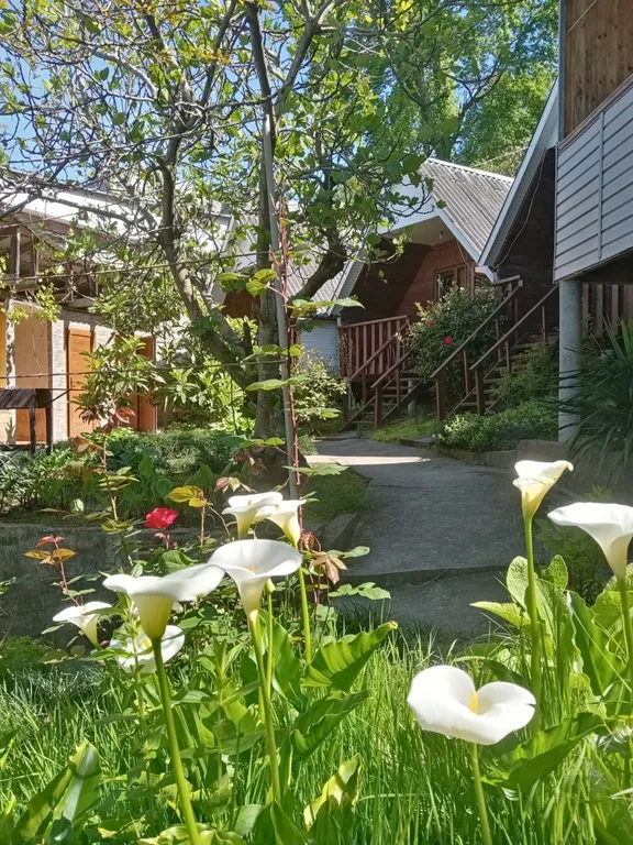 Пятиместный дом бунгало