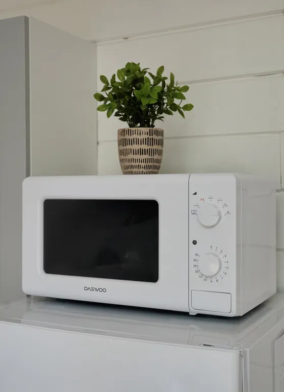 Современный дом в сосновом лесу