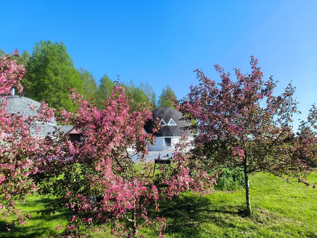 Купольный дом на домашней ферме