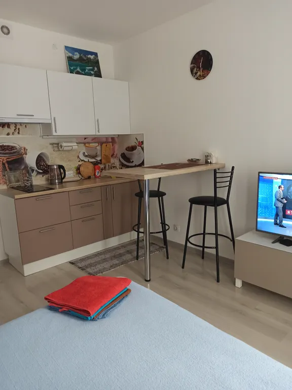 Квартира Квартира Студия у залива — Кронштадт