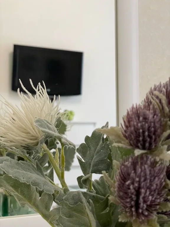 Квартира Стандарт четыре раздельных спальных левобережье — Омск