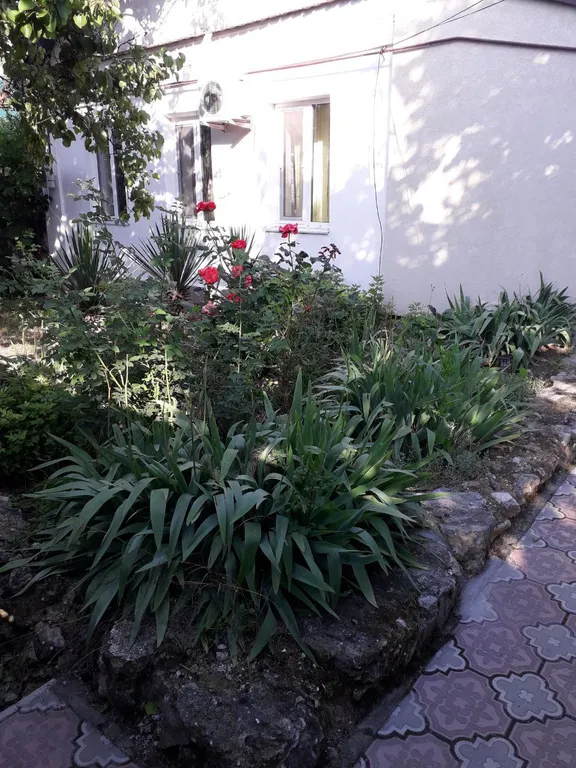 3-комнатный Дом