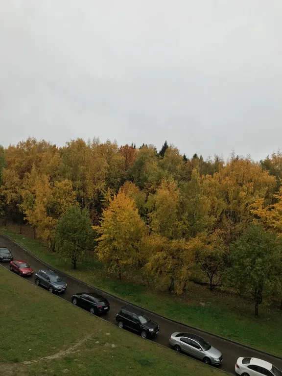 Уютная студия с отличным ремонтом