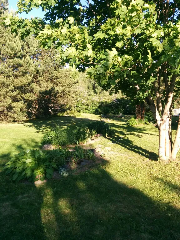 Коттедж Гостевой дом Илму с баней — Нижние Виданы