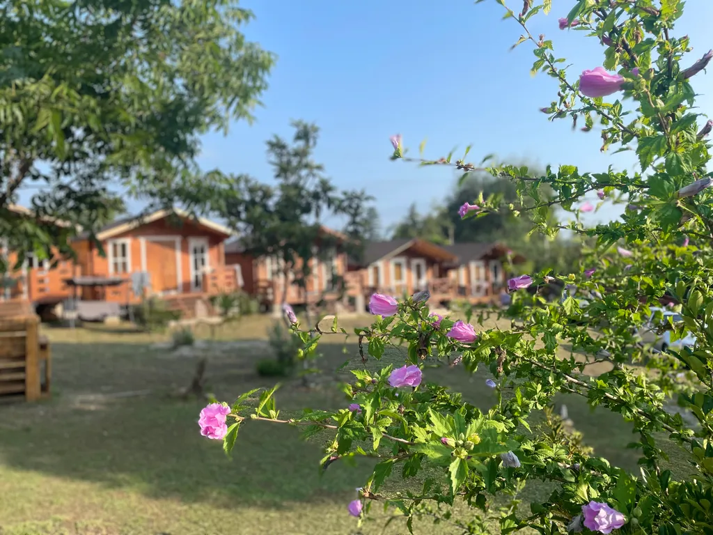 Эко коттедж у моря