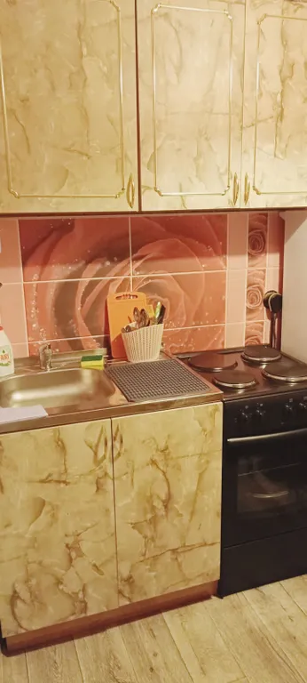 Квартира Уютная квартира в центре посёлка с видом на горы — Шерегеш