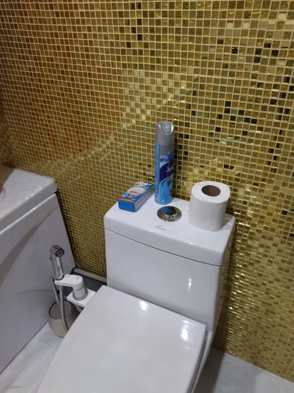 Комната квартирного типа