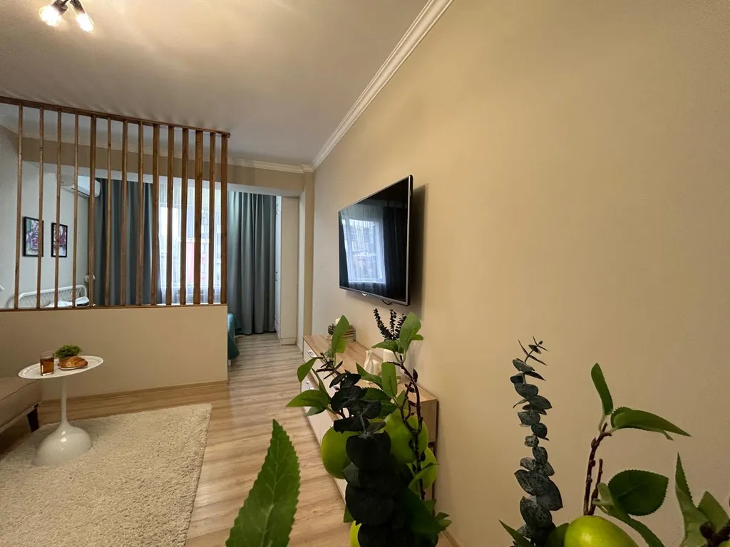 Студия Алма с прекрасным видом на город