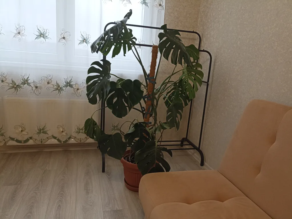 Квартира Уютная квартира — Калининград