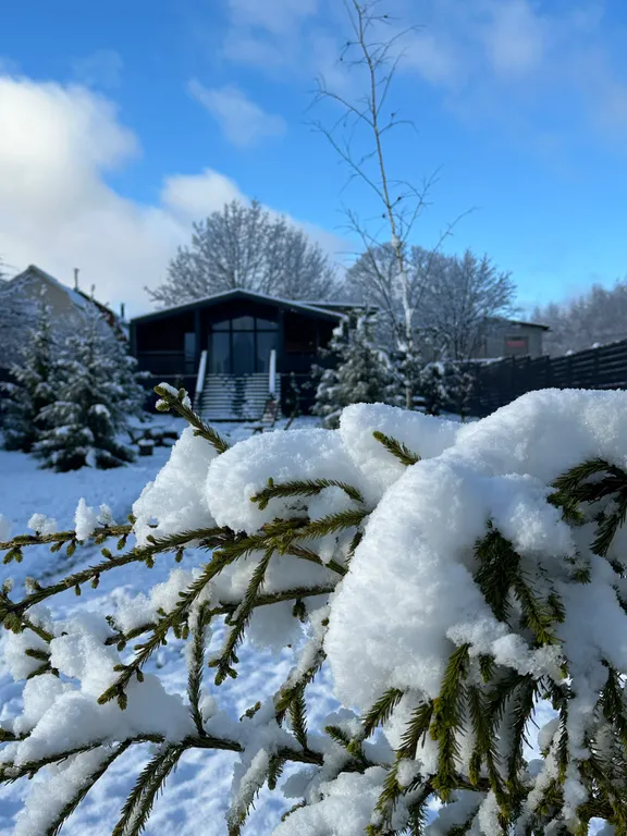 Дом Эльк - уютный коттедж с сауной на отдельном участке