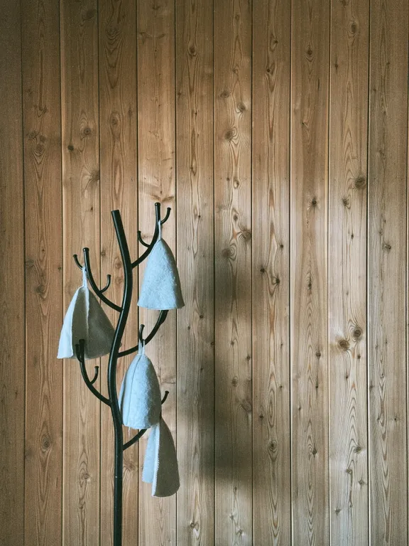 Дом с видом на озеро рядом с Ладожскими шхерами