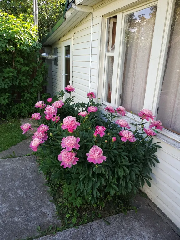 Часть дома с отдельным входом, дача