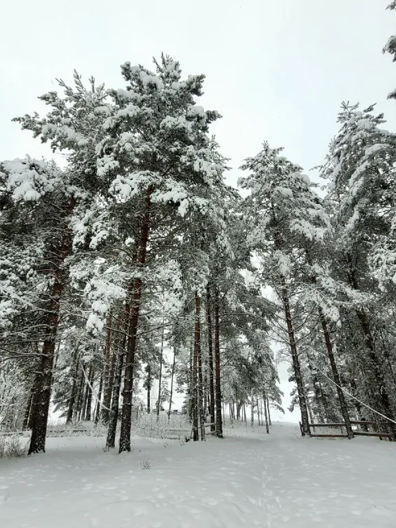 Плавдом Островок с баней