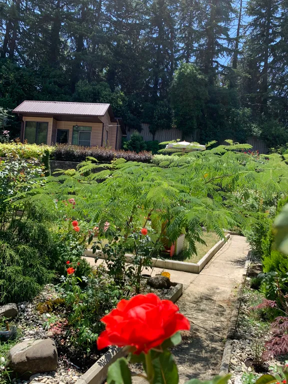 Уютный коттедж на Сочинском шоссе — аренда посуточно в Лазаревское