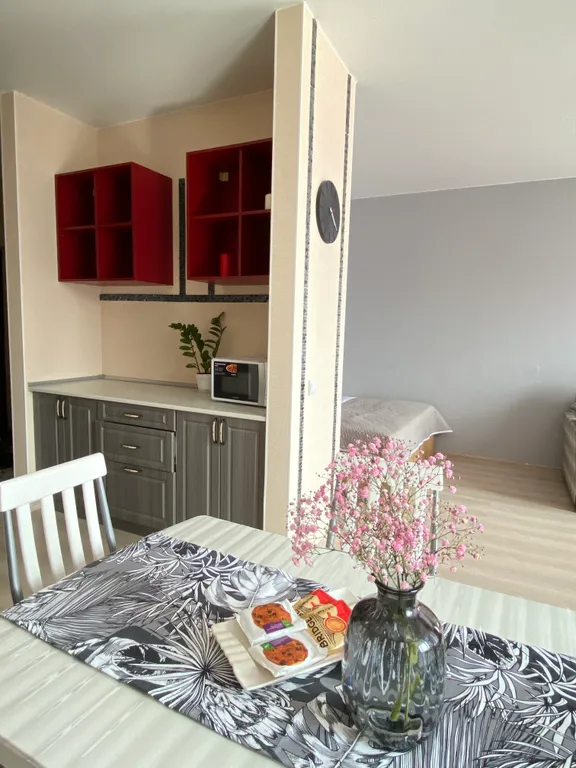 1-комнатная квартира кузьминки недалёко от g-drive арены