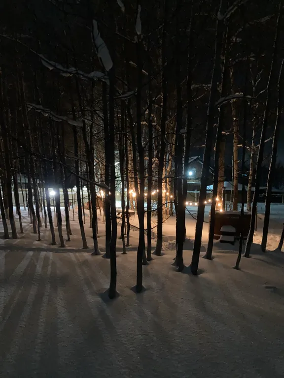 Домик с печью/камином в окружении природы