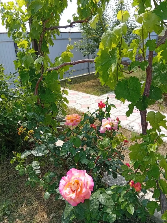 Отдельный дом для семейного отдыха