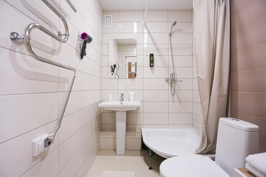 SunSet студия Цветной лев