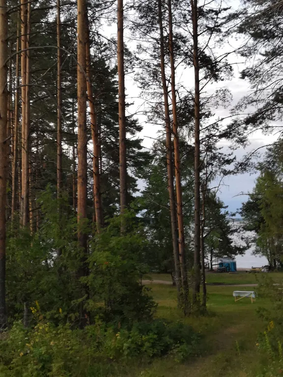 Дом на Селигере