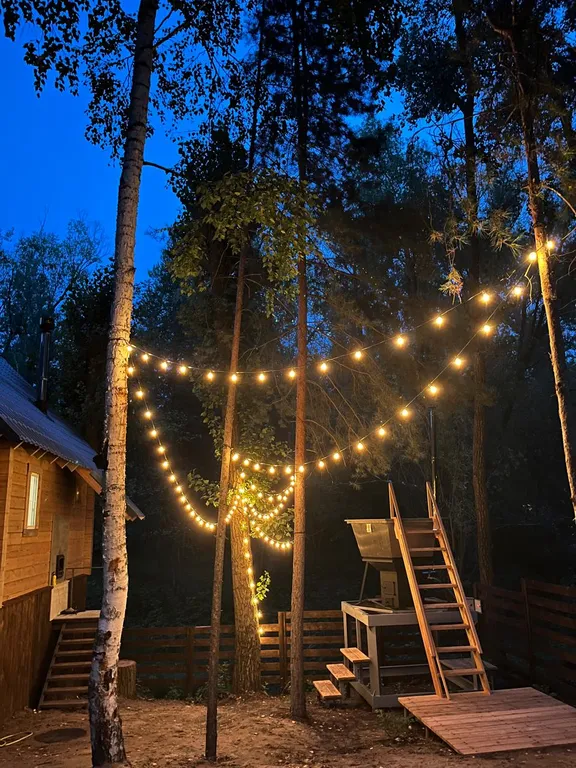 Коттеджи на берегу Волги в сосновом лесу. База отдыха " Хвоя Эко"