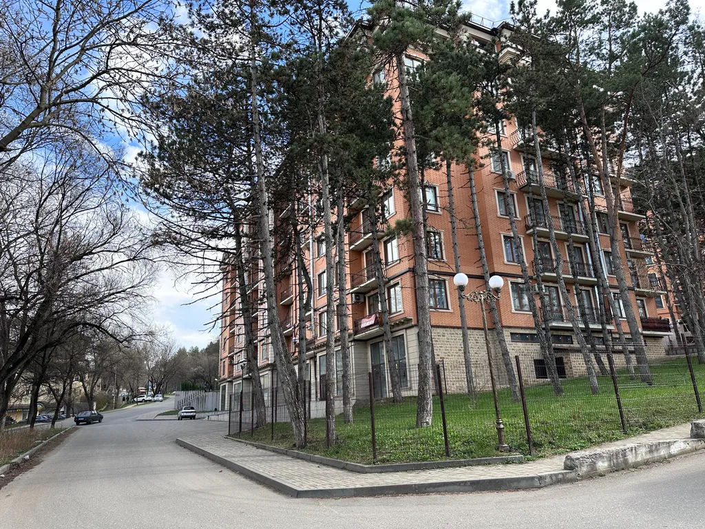 Сосновый бор