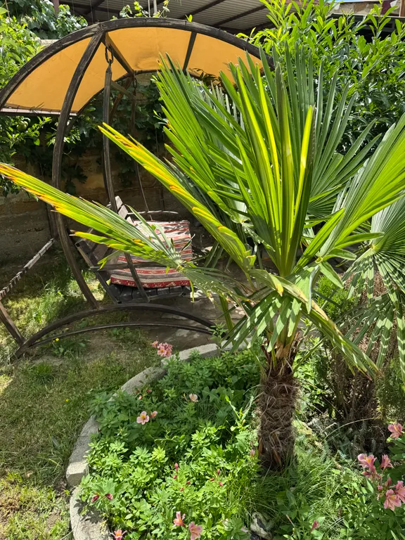 Квартира Комната — Судак