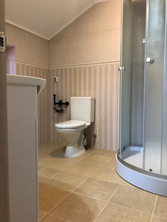 Большой дом