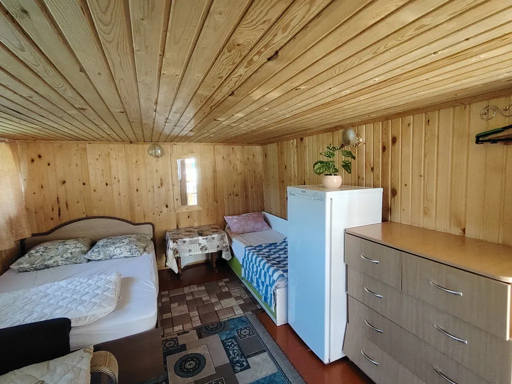 Летний номер с видом на березовый лес