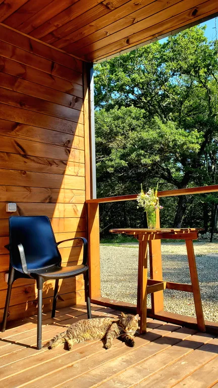 Барн-хаус 2+1 в тишине у леса и горной реки