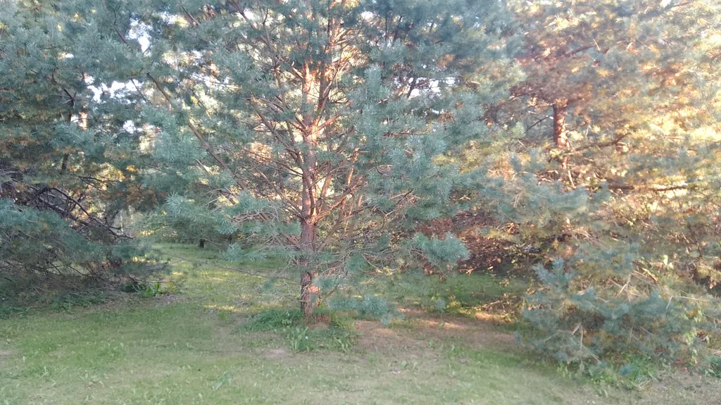 Уютный Таунхаус Хитрый лис