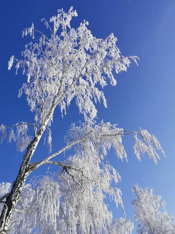 Уютная квартира на берегу живописного озера Тургояк