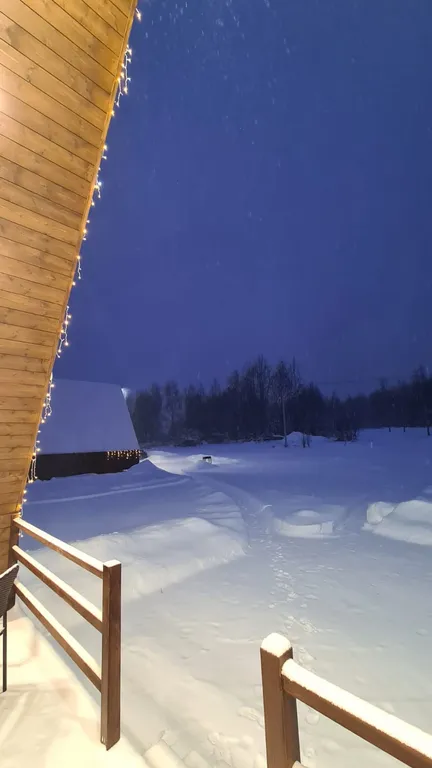 Уютный домик с видом на лес