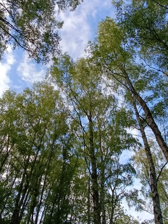 Квартира Квартира Новая уютная студия на море — Светлогорск