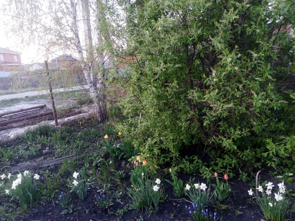 Незабываемый отдых в уютном коттедже на праздники