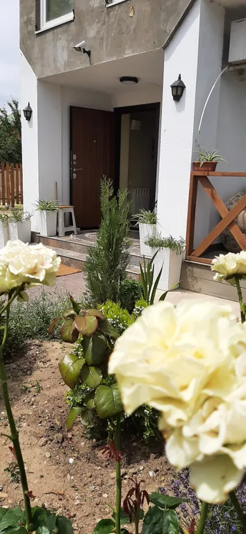 Коттедж Частный Дом — Кучугуры