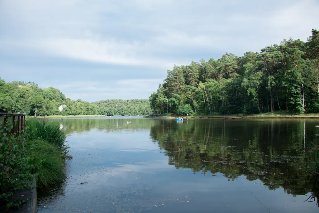 Квартира Квартира Cozy apartment — Светлогорск