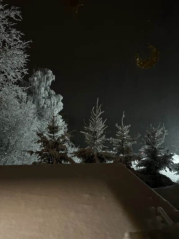 Коттедж Панорамный домик на склоне у Игоры — Орехово