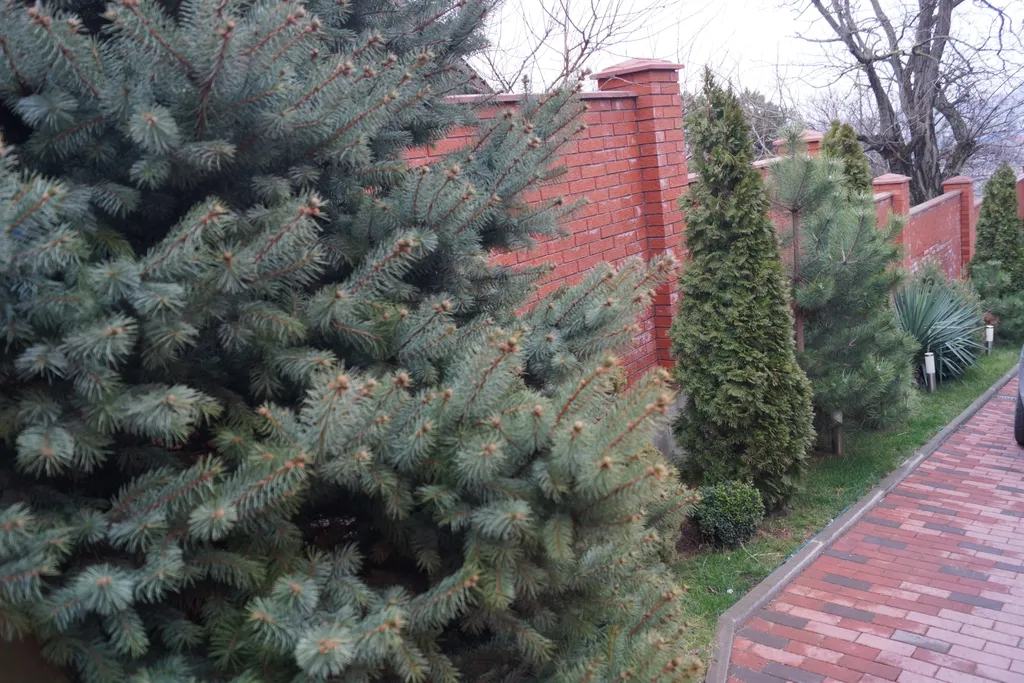 Апартаменты с видом на море