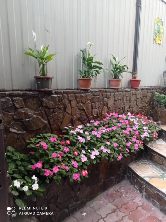 Квартира Уютная комната для семьи- отдых у моря в самом центре Туапсе — аренда посуточно в Туапсе