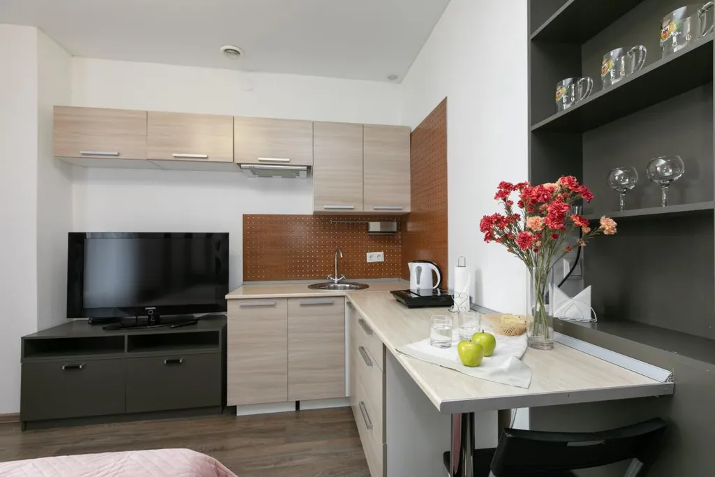 Уютный апартамент в самом центре у метро Площадь 1905 года