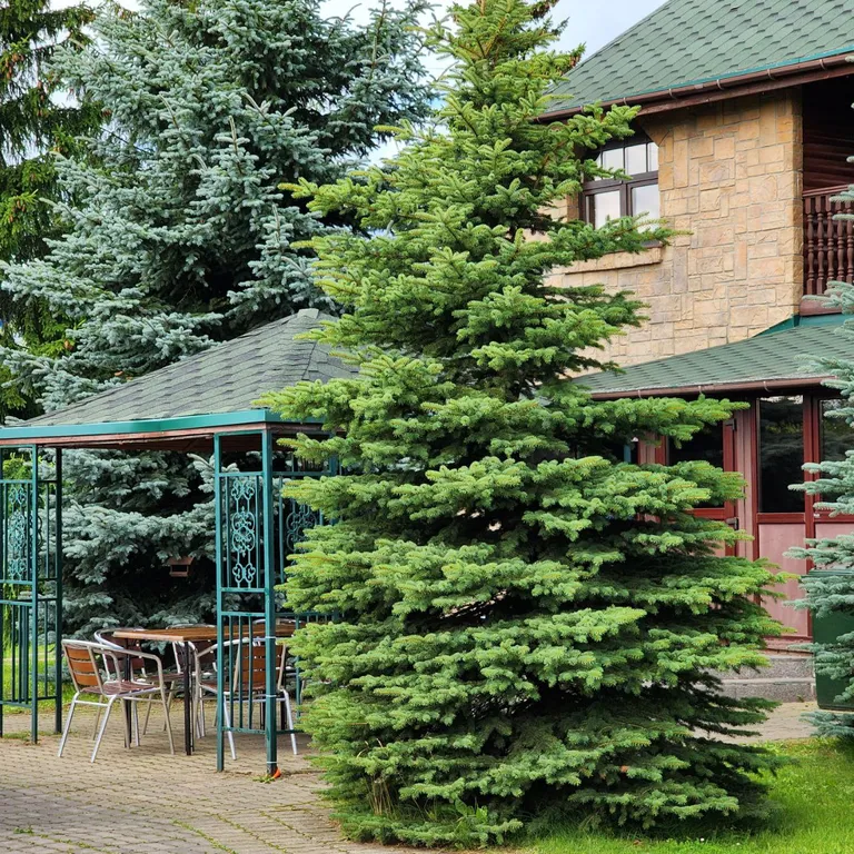 Коттедж Комфорт на юге Санкт-Петербурга внутри КАД, есть мангал и баня