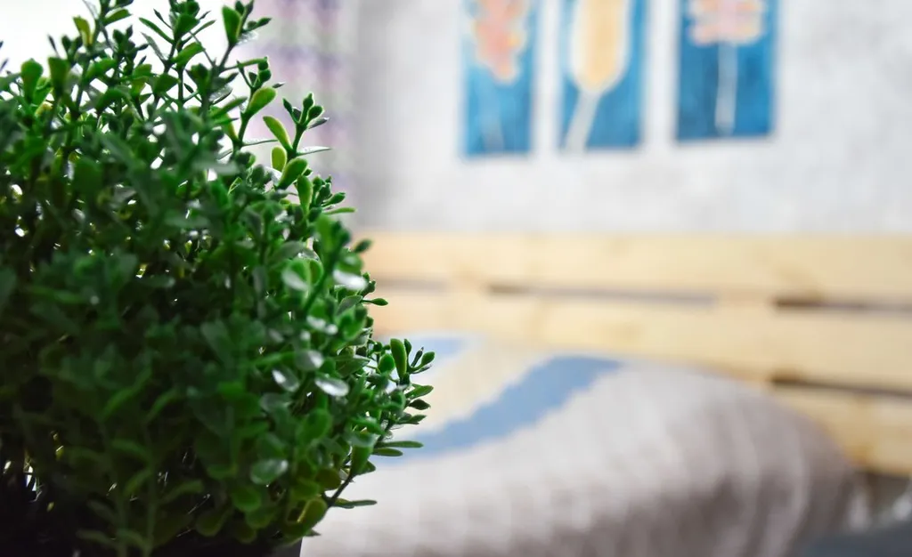 Удачная студия на Жарокова