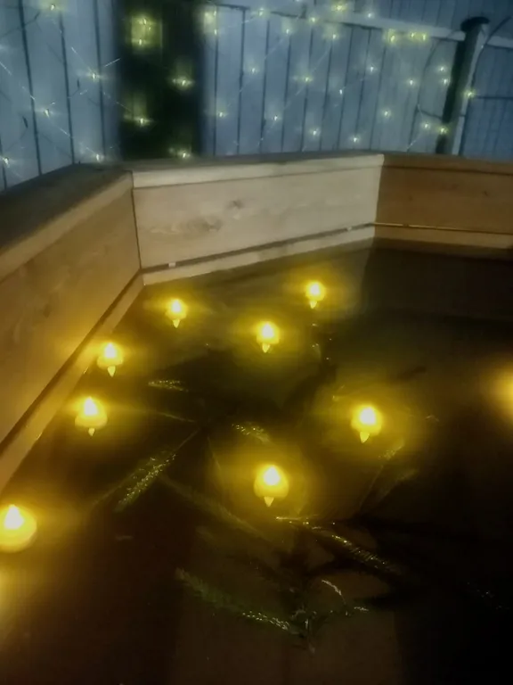 Новый стильный дом в окружении леса